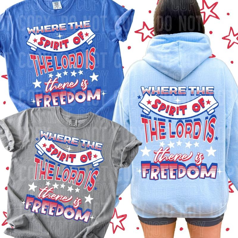 There is Freedom DTF Transfers - THIS IS NOT A SHIRT Hoodie, Sweatshirt | HypeDripTees.com