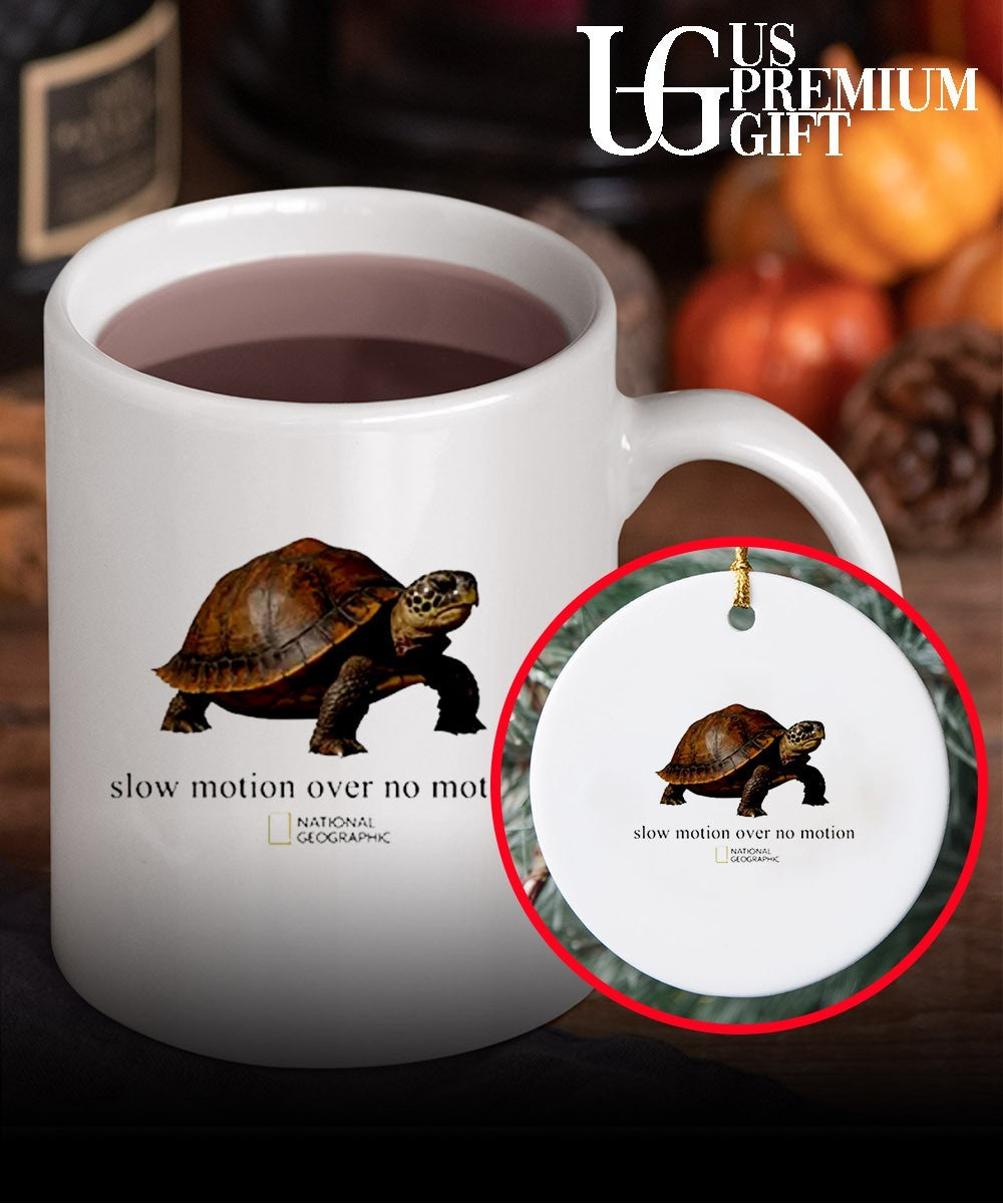 Turtle slow motion over no motion shirt