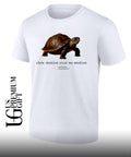 Turtle slow motion over no motion shirt
