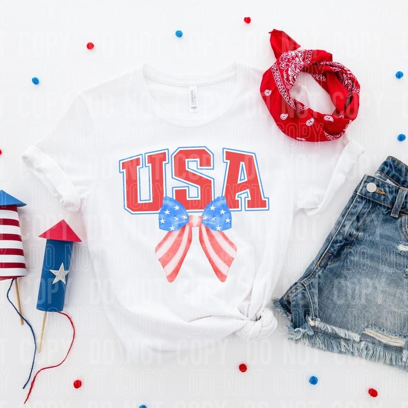 USA Bow DTF Transfers - THIS IS NOT A SHIRT Hoodie, Sweatshirt | HypeDripTees.com