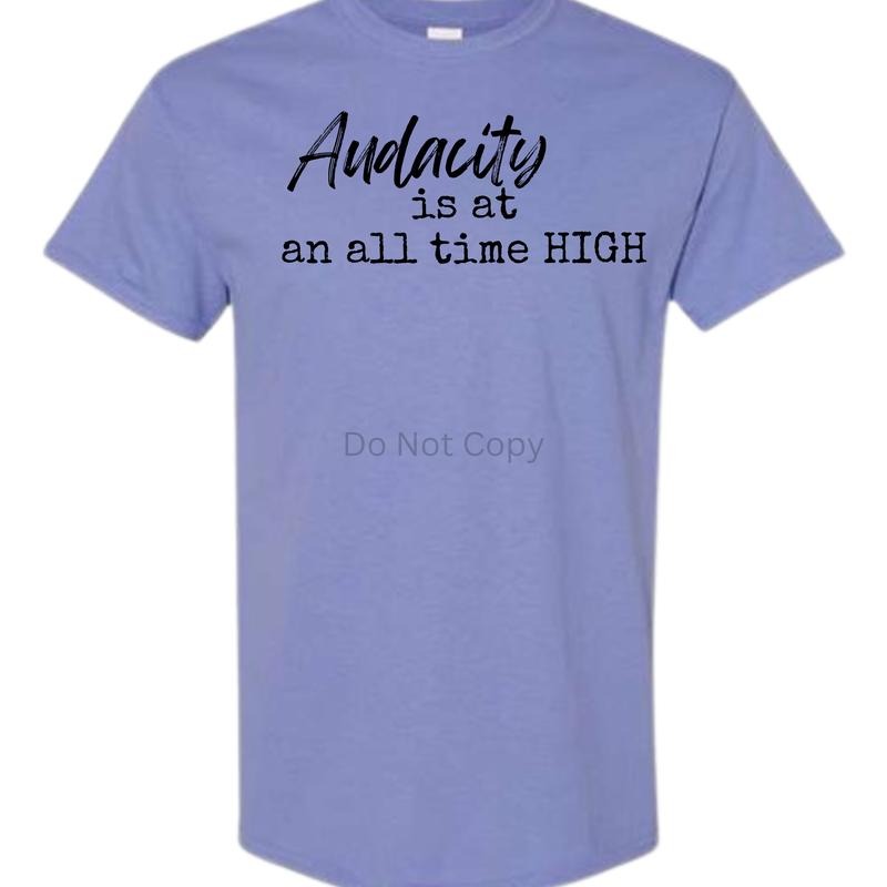 Unisex Size Audacity Is At An All Time High T Shirt - This is a completed Tee Hoodie, Sweatshirt | HypeDripTees.com