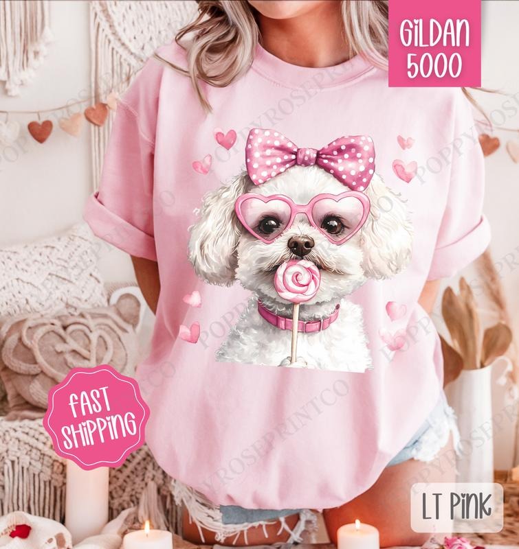 Valentine Bichon Shirt Gildan, Valentine's Day Women's Tee, Cute Women's Tshirt Plus Sizes Hoodie, Sweatshirt