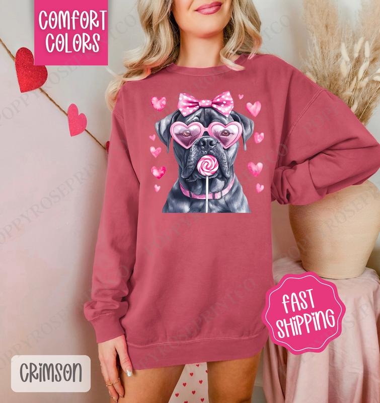 Valentine Cane Corso Comfort Colors Sweatshirt, Valentine's Day Women's Crewneck, Cute Women's Sweater T-Shirts, Hoodie