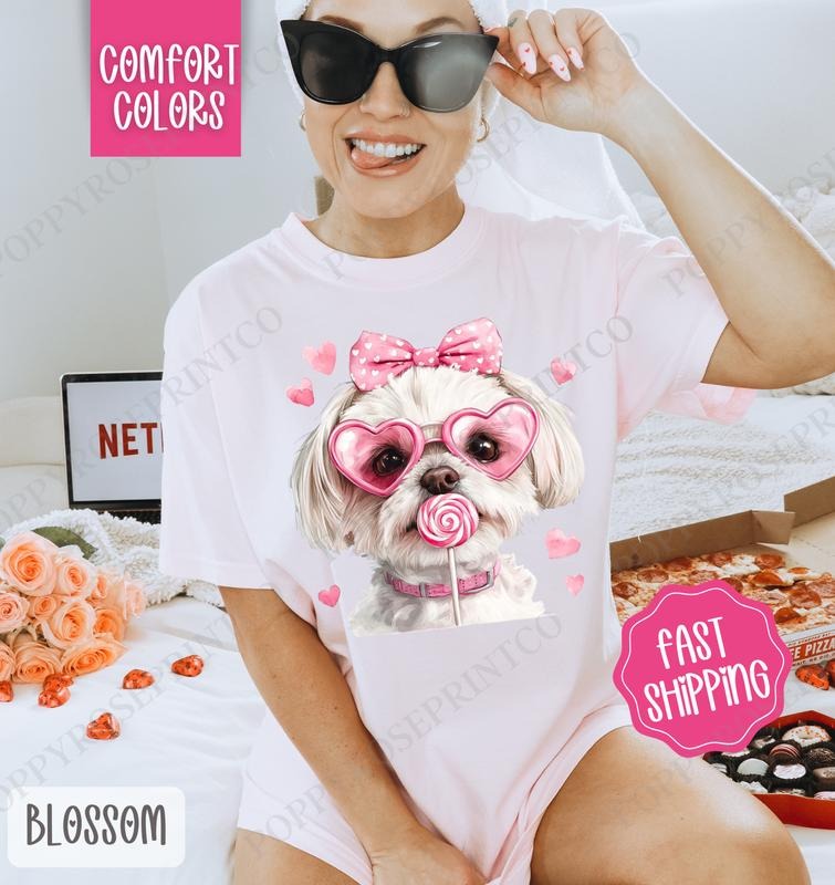 Valentine Maltese Shirt Comfort Colors, Valentine's Day Women's Tee, Cute Women's Tshirt Hoodie, Sweatshirt