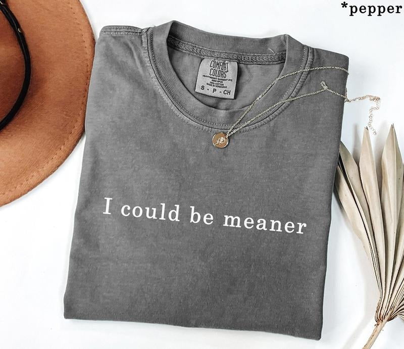 Victoria Maxwell, Womenswear Vintage Graphic Tee, I Could Be Meaner Shirt, Sarcastic, Humor, Sarcasm, Trendy, T-Shirt,...