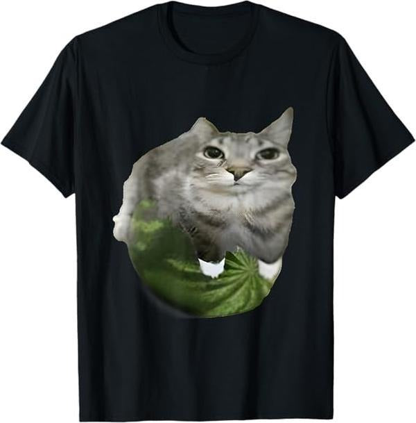 Watermelon Cat Silly Cat Meme T-Shirt Hoodie, Sweatshirt | HypeDripTees.com