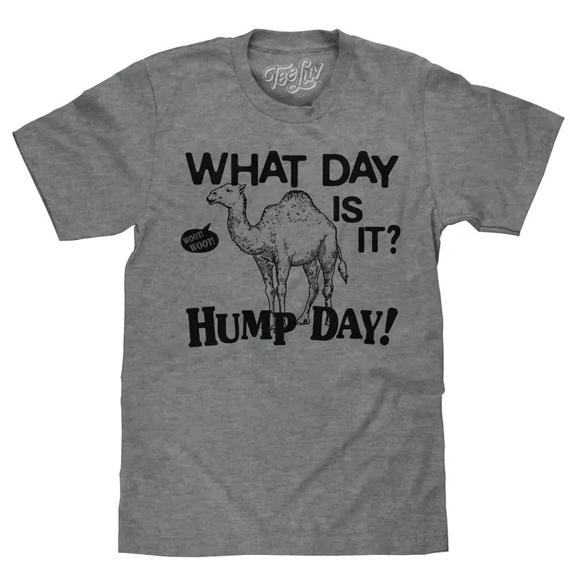 What Day Is It? Hump Day Camel T-Shirt - Gray Hoodie, Sweatshirt | HypeDripTees.com