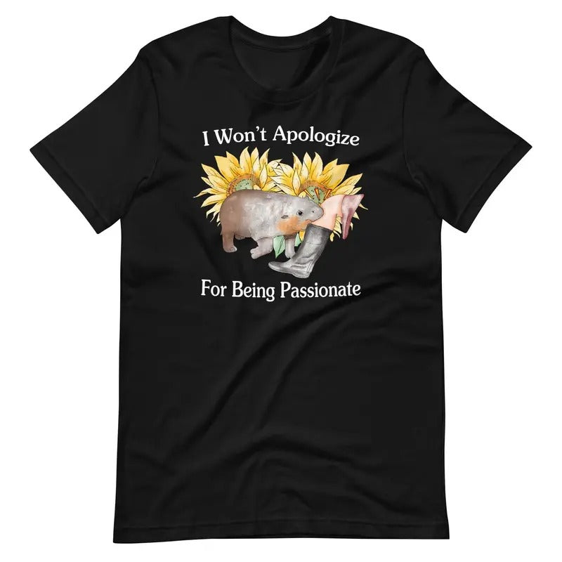 Won't Apologize Unisex t-shirt, Gift For Her Hoodie, Sweatshirt | HypeDripTees.com