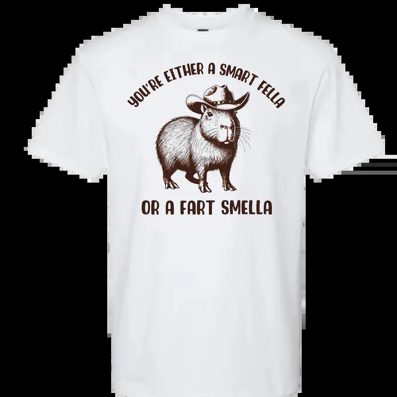 You're Either a Smart Fella or Fart Smella My T-Shirt Hoodie, Sweatshirt | HypeDripTees.com