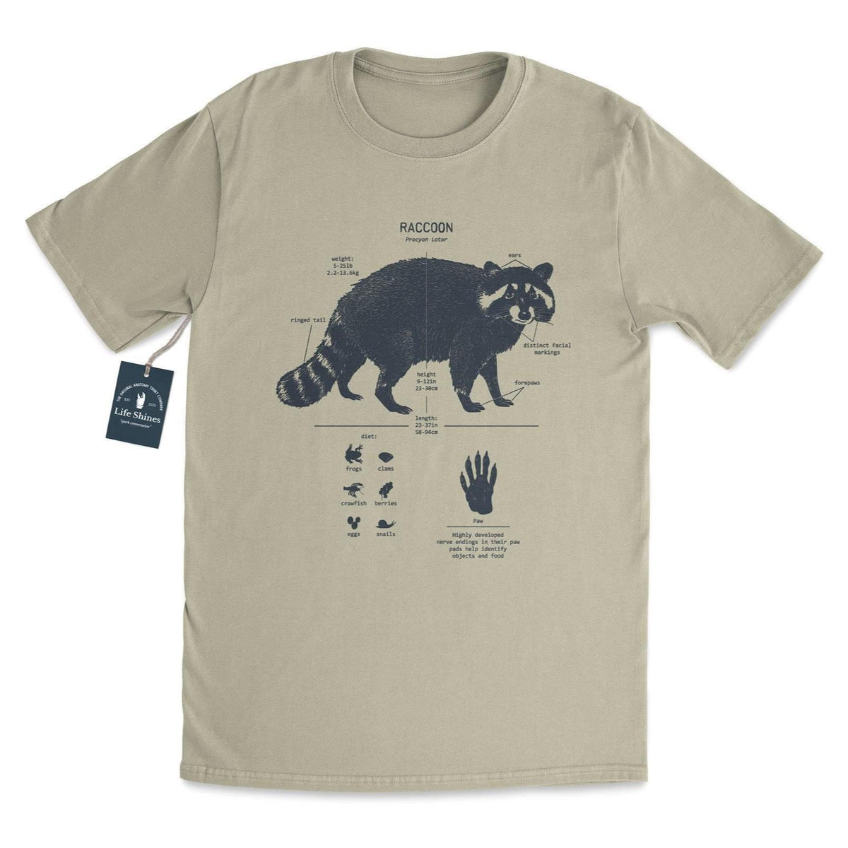 Raccoon Anatomy Hand Drawn Screen Printed Unisex T-shirt, Sweatshirt, Hoodie (1)