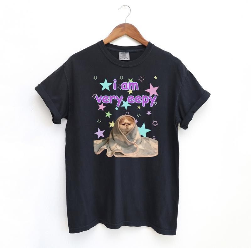 eepy Cat Funny Shirt, Meme Comfort Colors T-Shirt Hoodie, Sweatshirt | HypeDripTees.com
