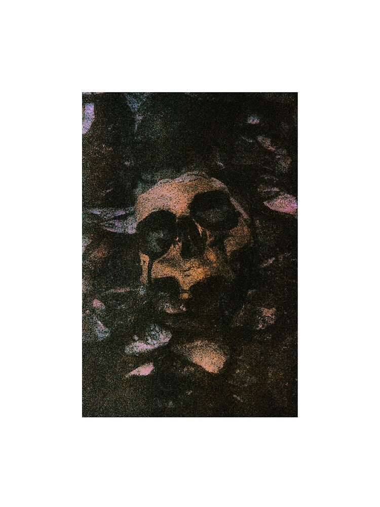 vintage analog skull photography by majsonww