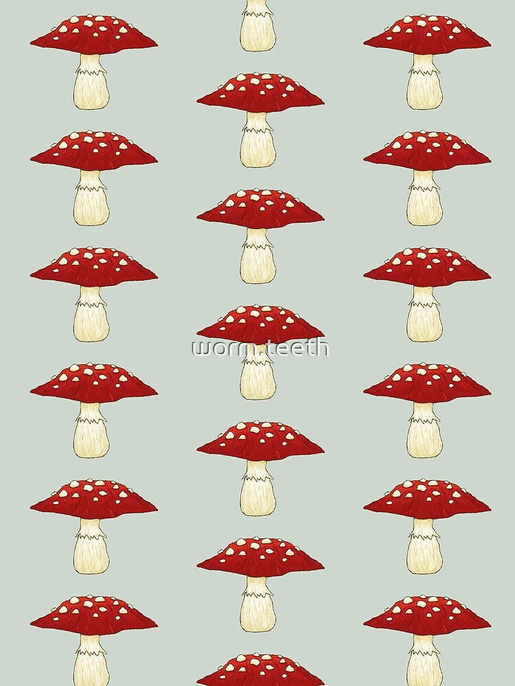amanita muscaria by worm.teeth
