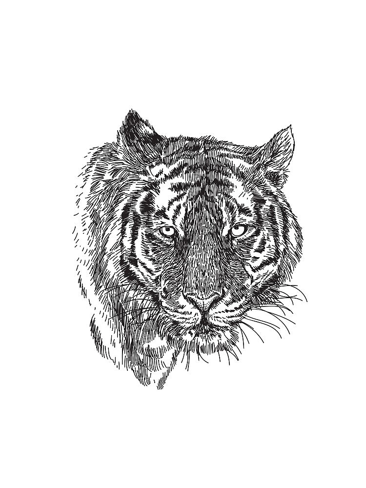 Tiger by della95