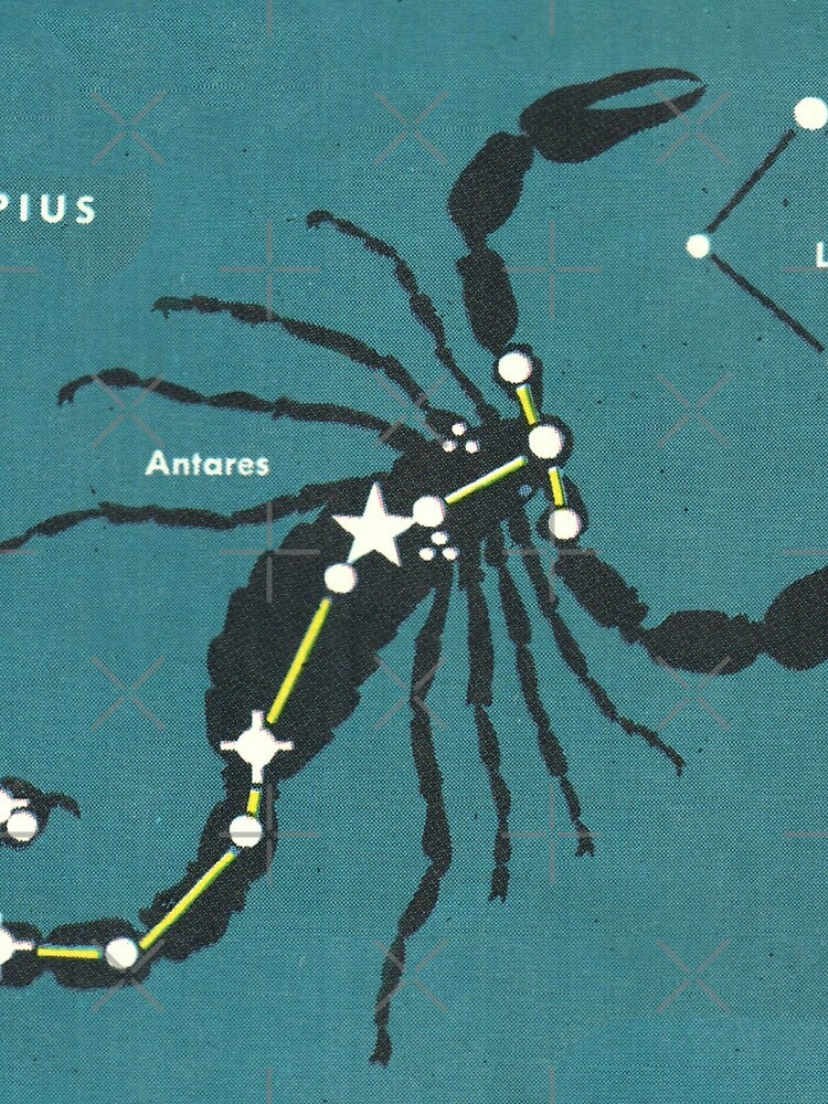 Scorpio Constellation - Vintage Star Map by elevens