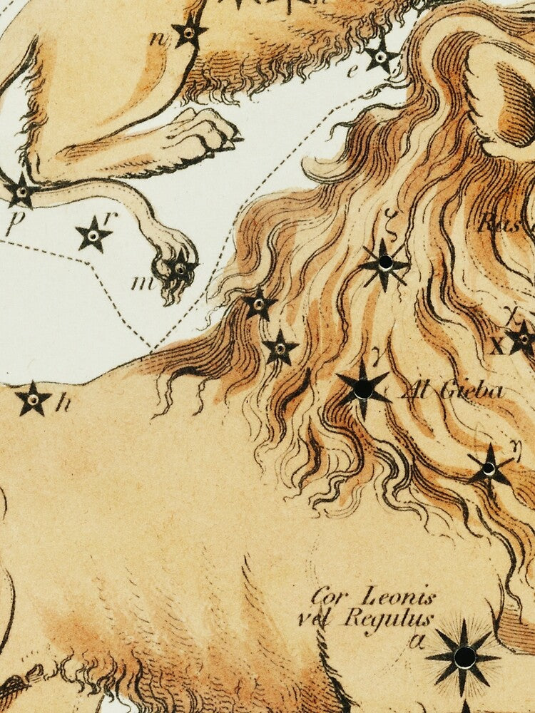 Leo Zodiac Sign by SFTStudio