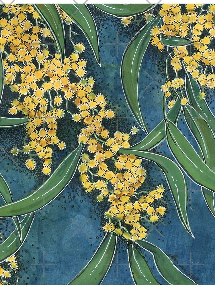 Yellow Golden Wattle flowers, watercolor fine art painting by Joan and Rose