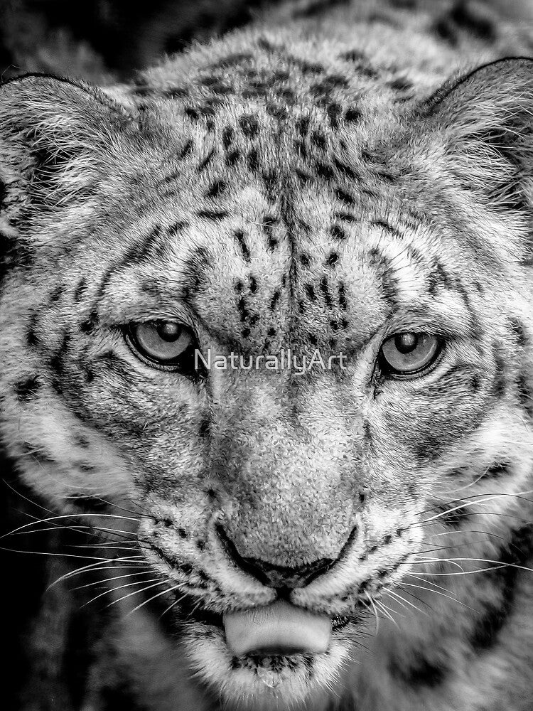 Prowling Mono by NaturallyArt