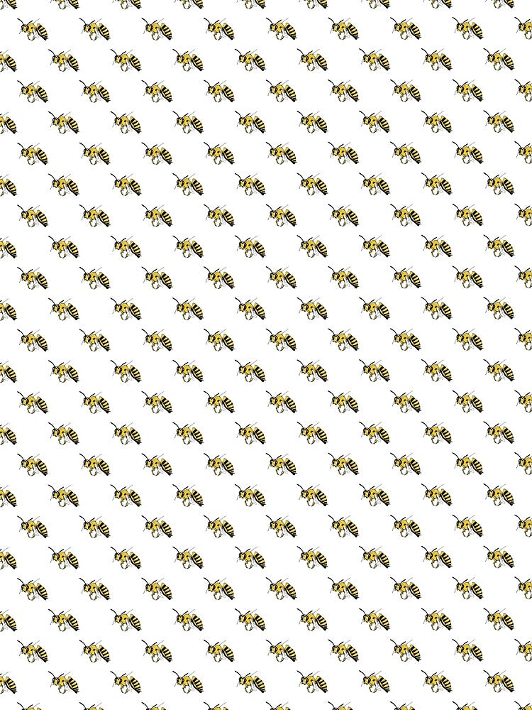 Bees by Quentin Moyer
