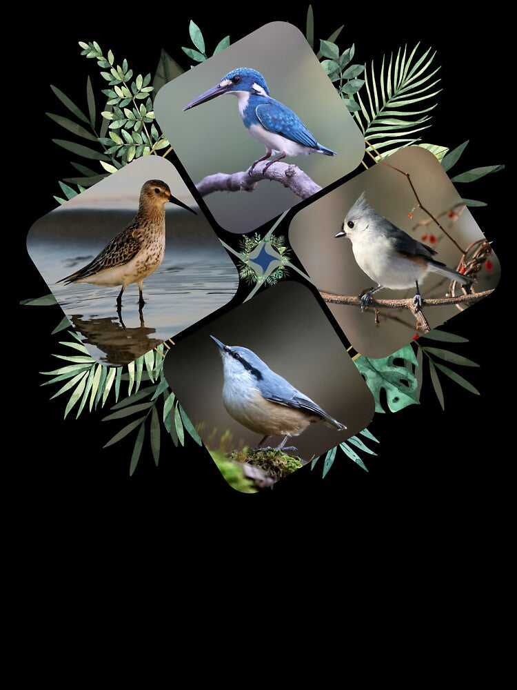 Winged Worlds: Exploring Diversity in Avian Life by Pixelpluse