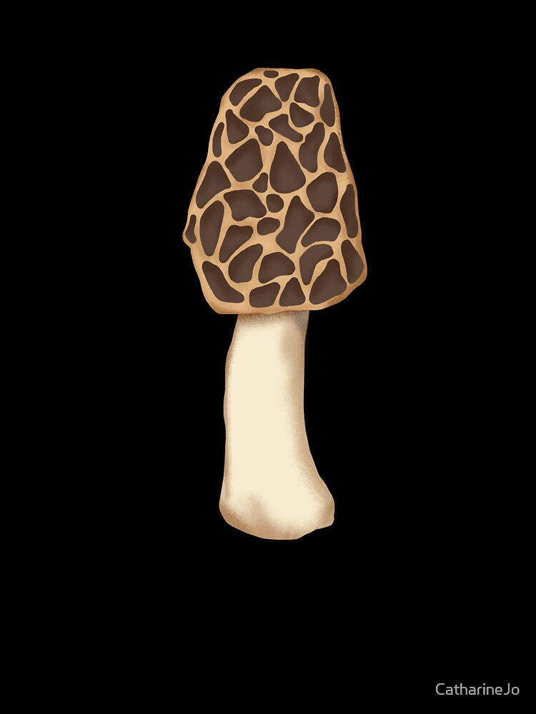 Morel Mushroom by Katie Morris Art