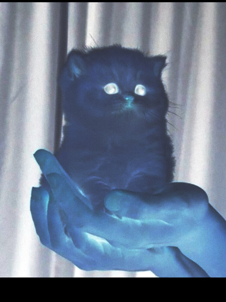 Mystic Kitten in Hand – Surreal Inverted Cat Art by Небесный котенок