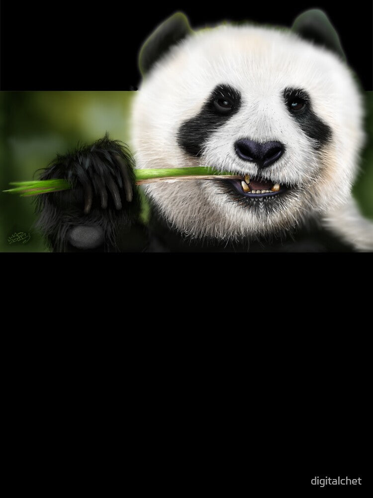 Munching Panda by digitalchet