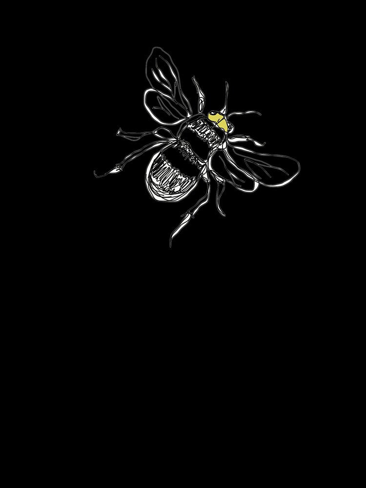 Contour drawing of a bee by Leeanne Mackay