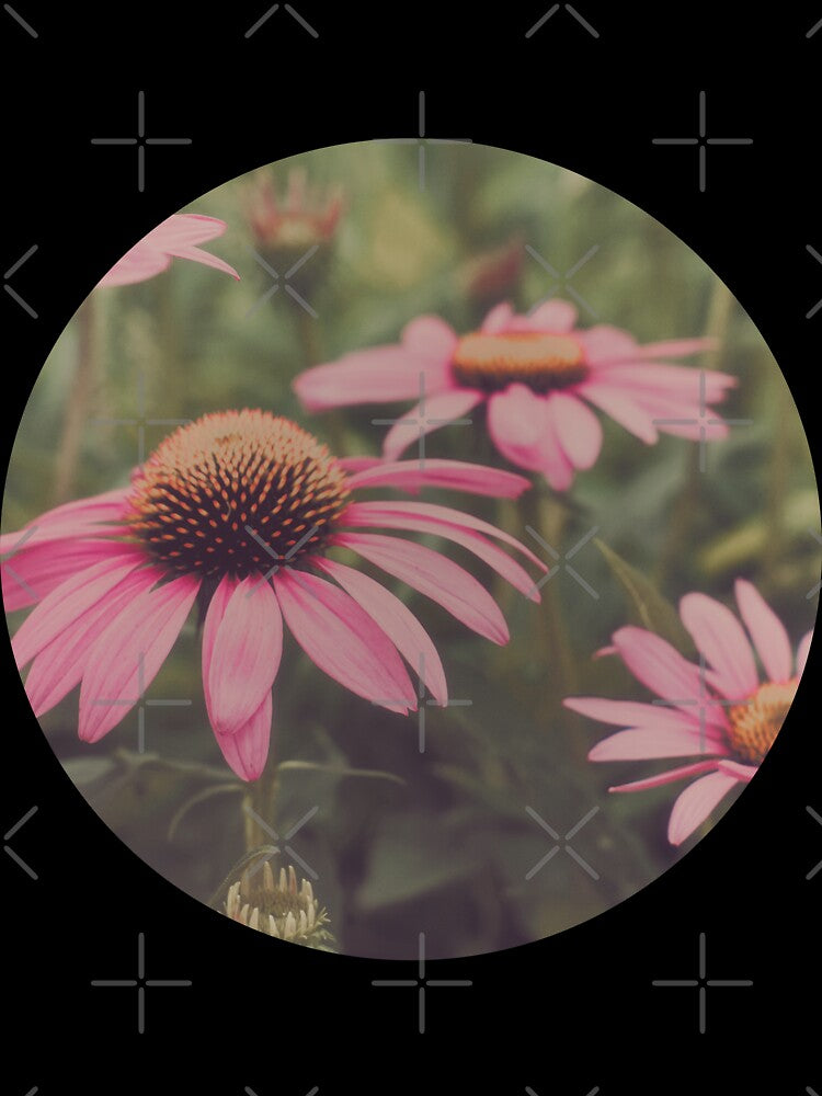 Echinacea by ElderIslesPress