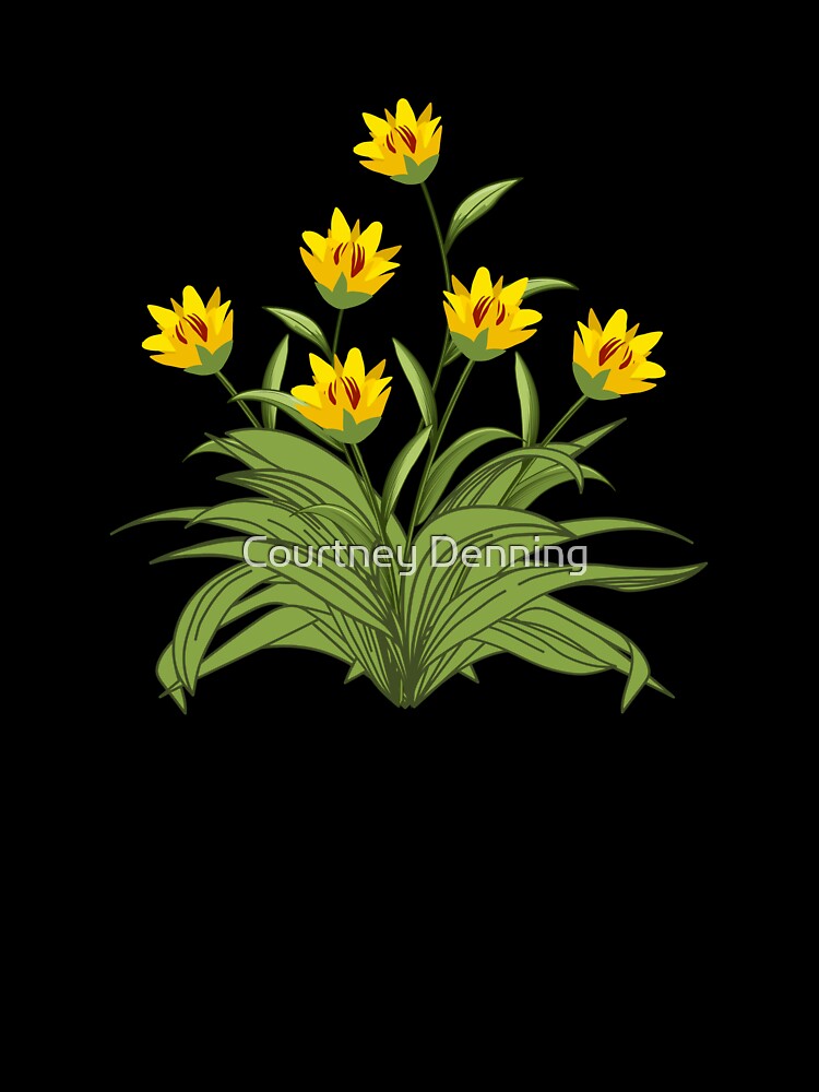 Lanceleaf Coreopsis (Coreopsis lanceolata) by Bittersweet Gardener