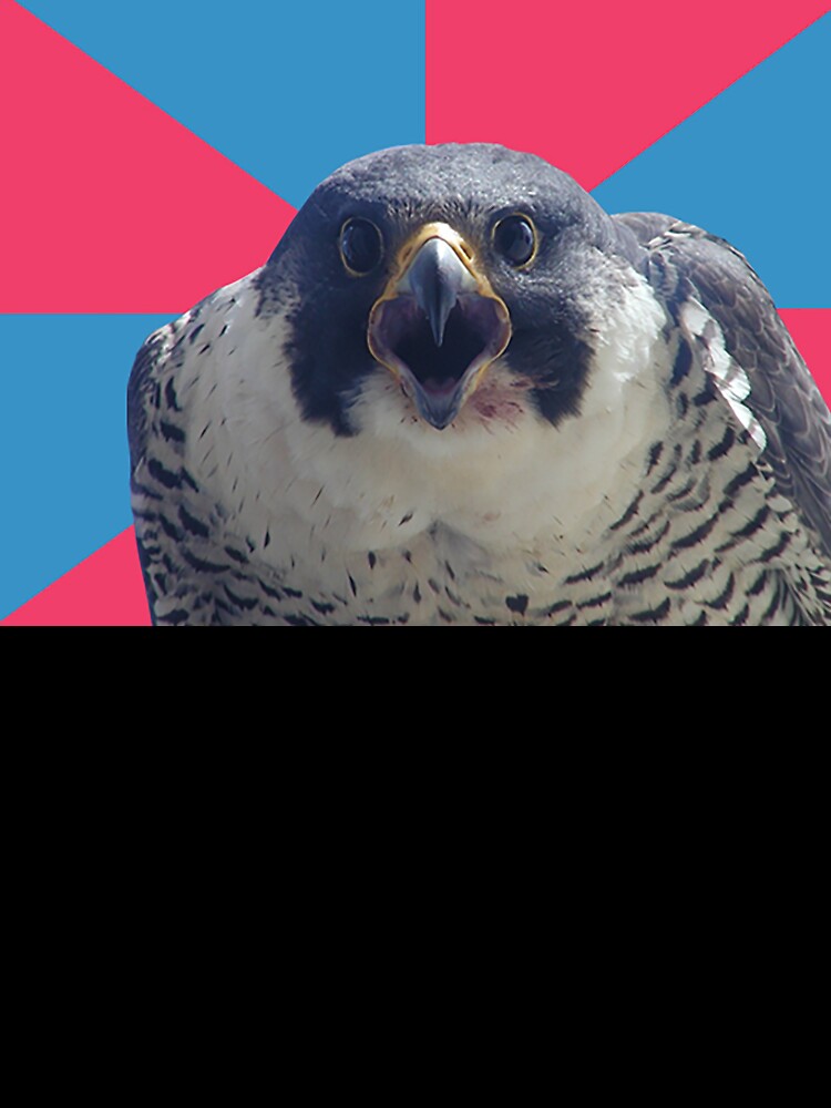 Millennial Falcon by Meme Economy