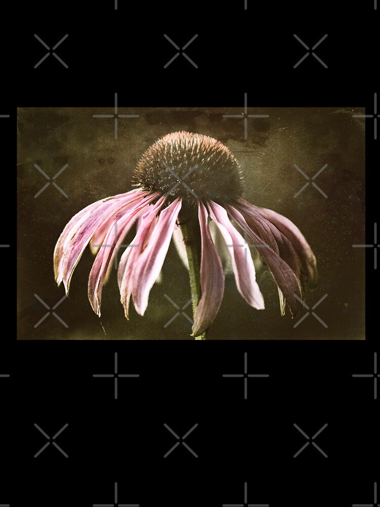 Sepia-toned Echinacea by ElderIslesPress