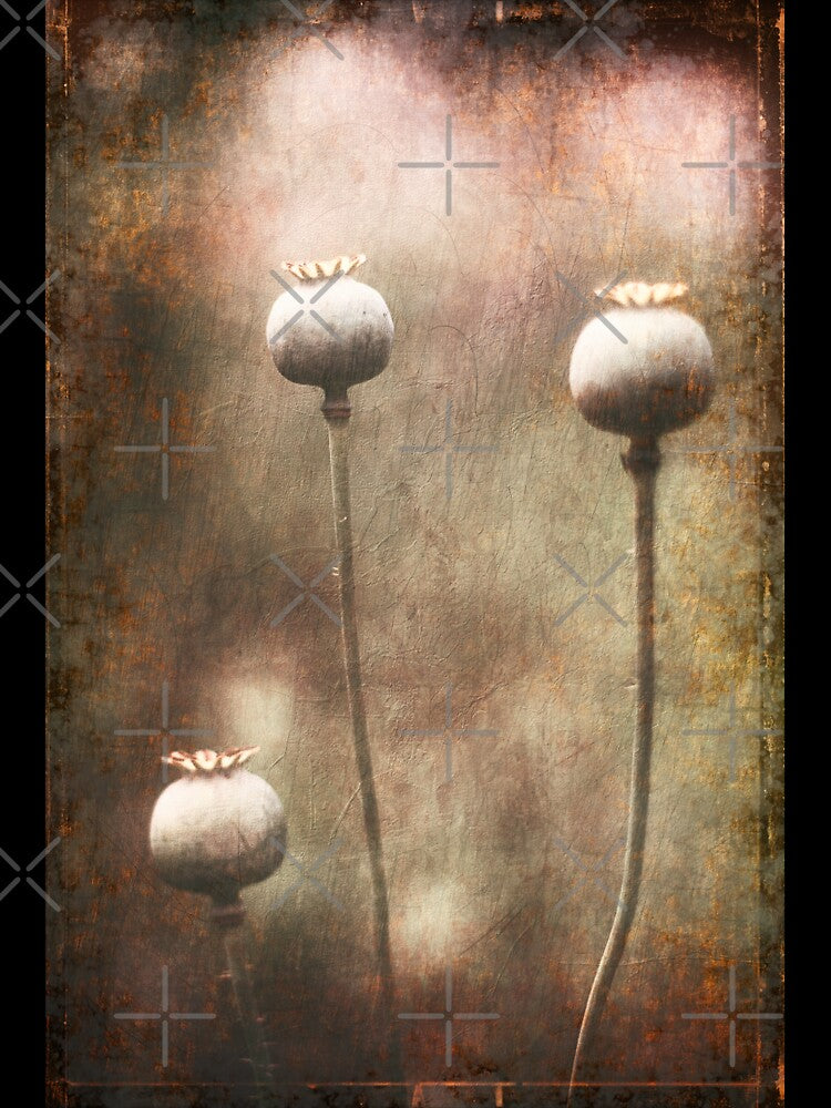 Poppy Heads by ElderIslesPress