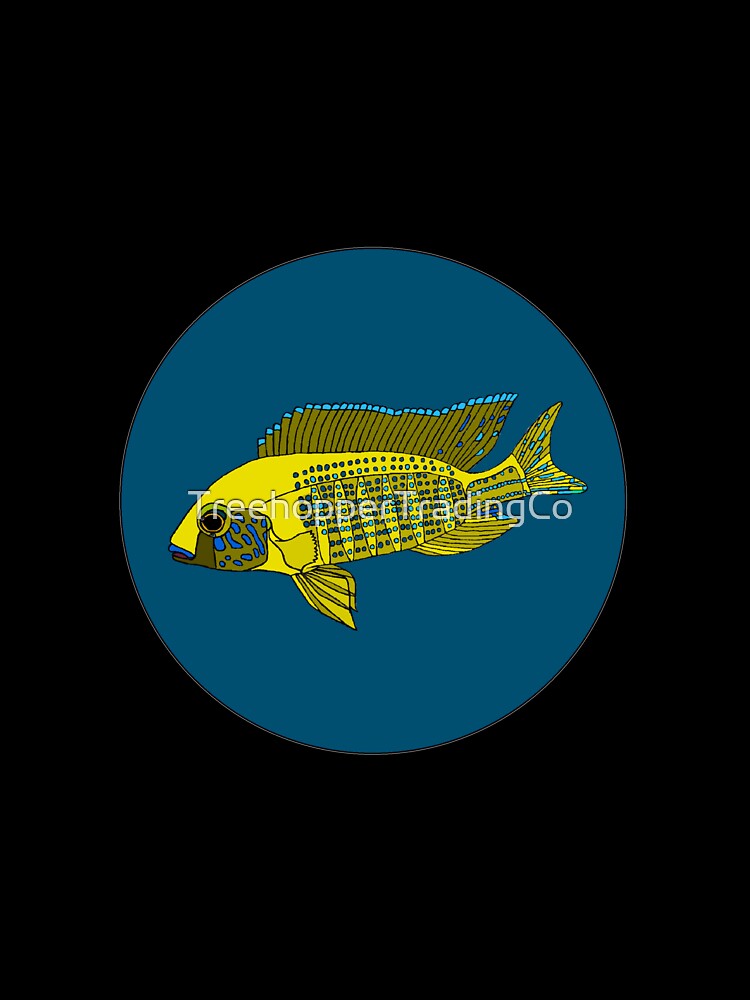 New Yellow Regal Cichlid by TreehopperTradingCo