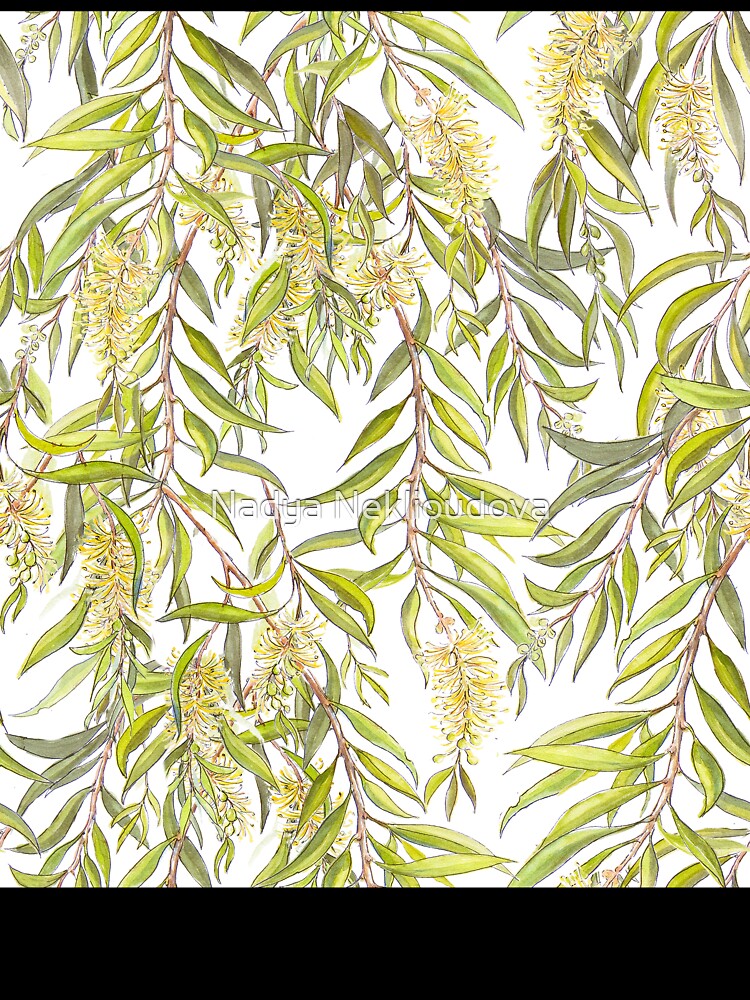 Australian Melaleuca or Bottlebrush native plant botanical pattern by Nadya Neklioudova