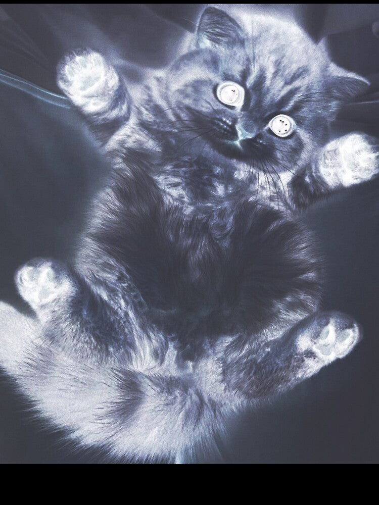 HeavenlyKitty – Ethereal Angelcore Cat with Celestial Glow by Небесный котенок