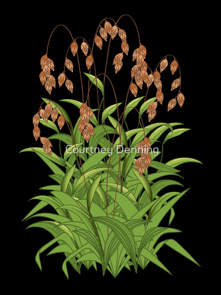 River Oats by Bittersweet Gardener