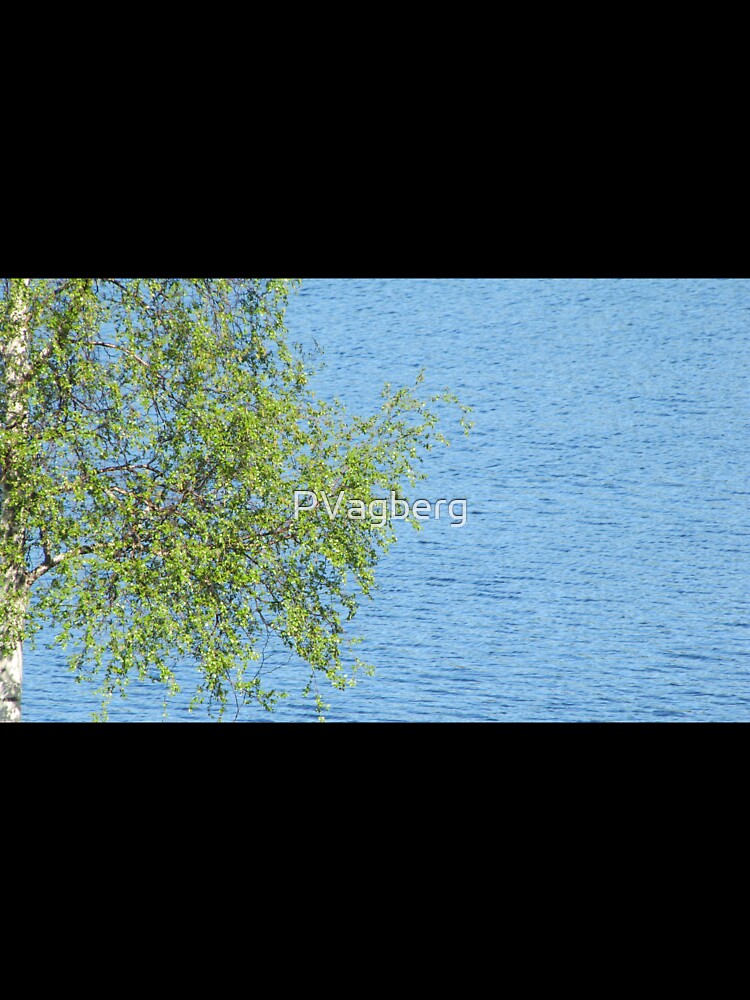 birch bunch of leaves the lake in the background by PVagberg