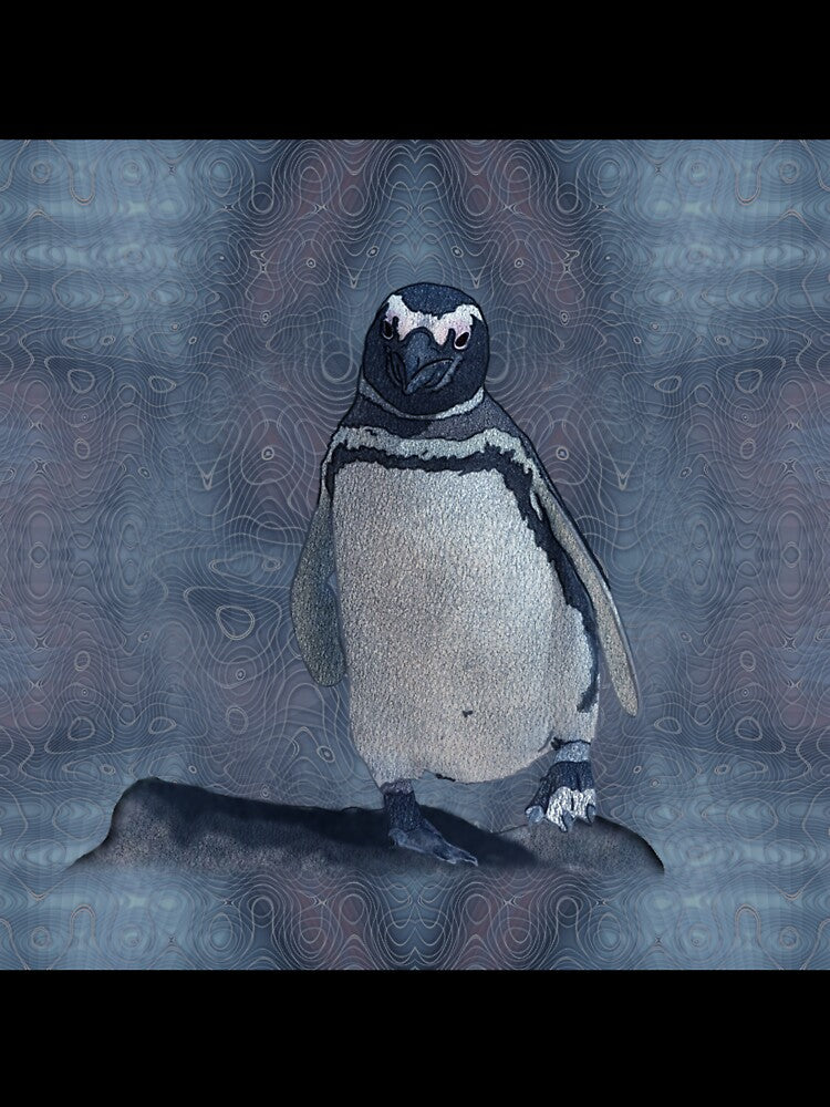 Walking galapagos penguin by Snaret