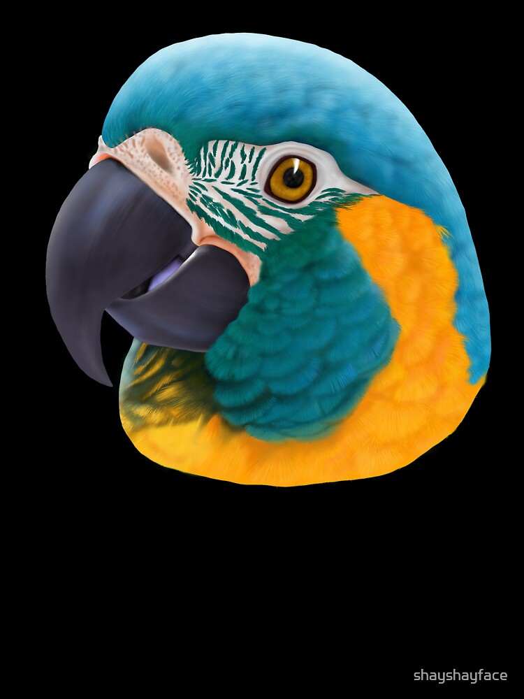 blue-throated macaw by shayshayface