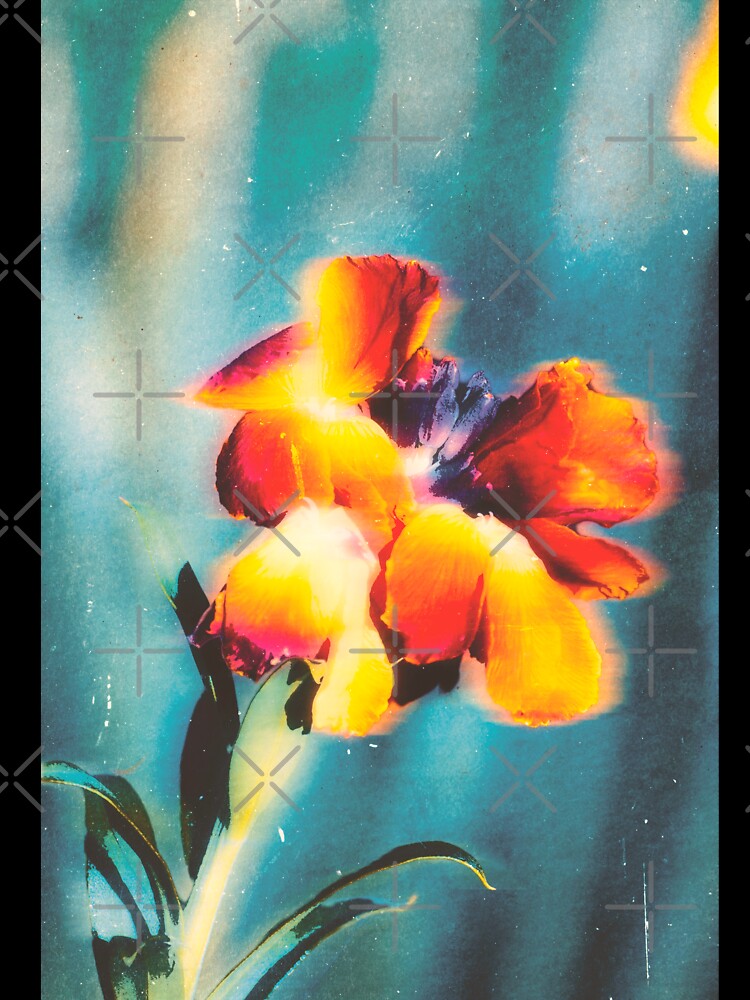 Vintage Wallflower by ElderIslesPress