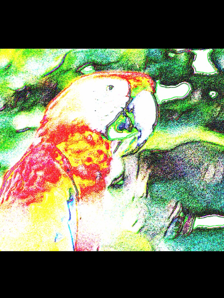 PAINTED MACAW by BOLLA67