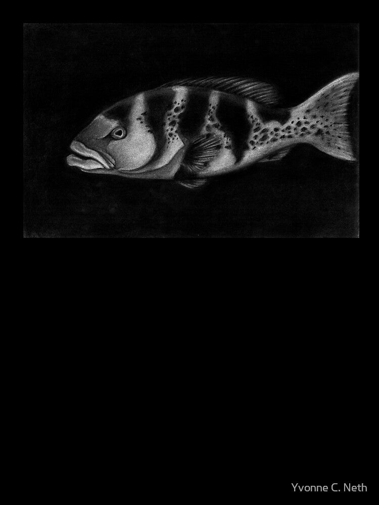 Plectropamus laevis  "Blacksaddled coralgrouper" by Yvonne Neth