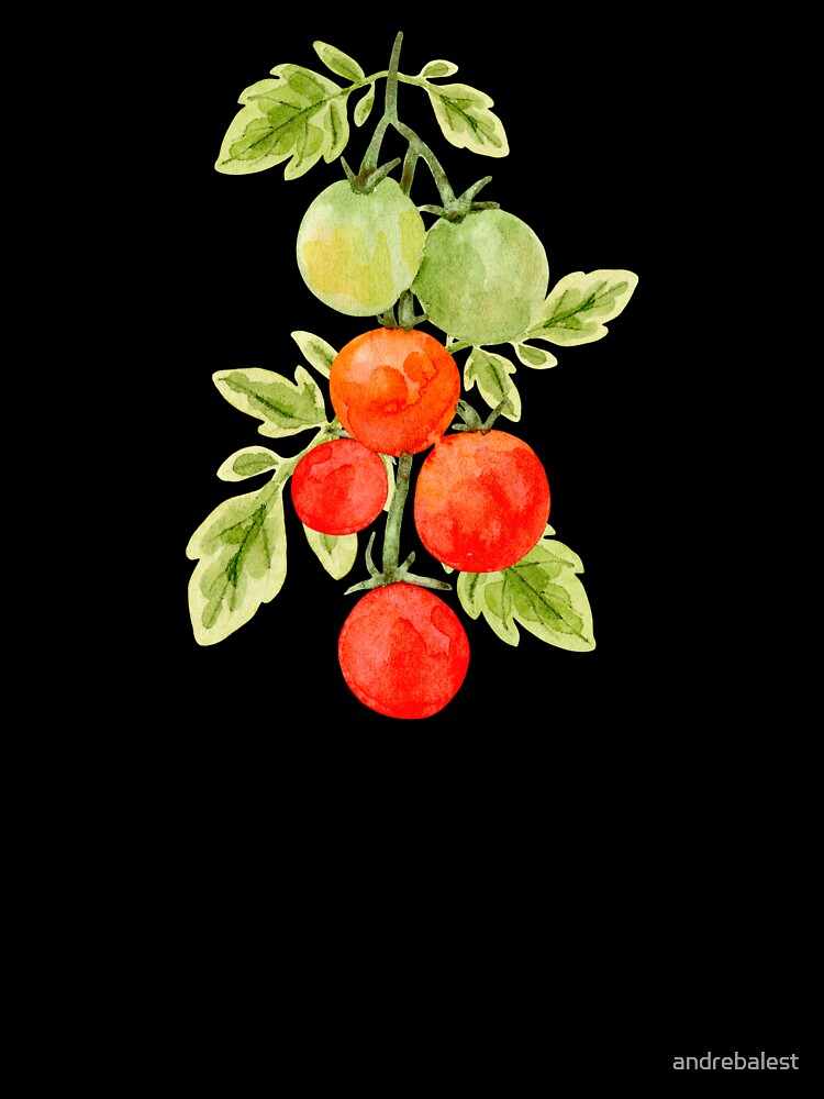 Cherry Tomatoes in Watercolor by andrebalest.art