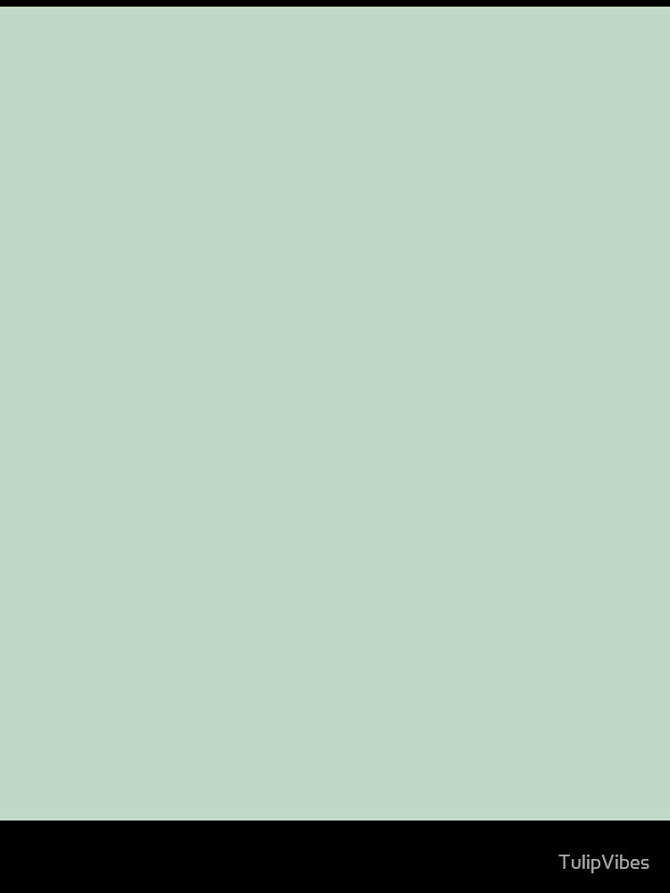 Soft Sage Minimalist Solid Color by TulipVibes