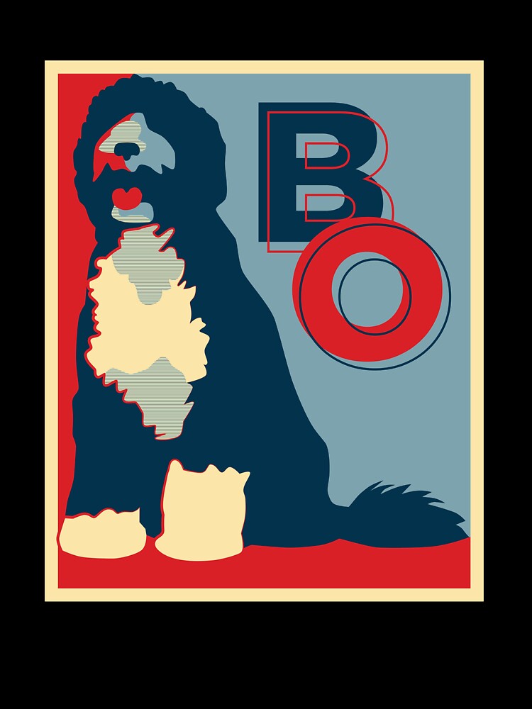 Bo Obama by structurized