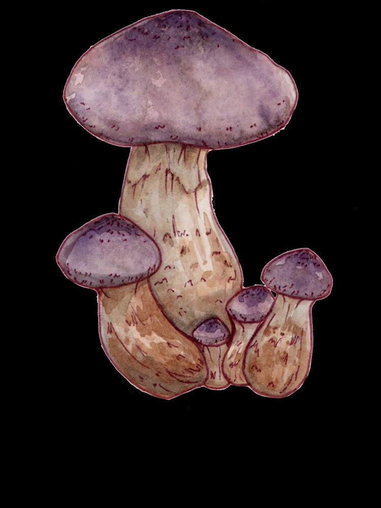 Copia de Amanita by Melss-jpg