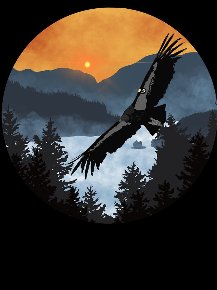 Condor 1117: “A8” by Two Loons