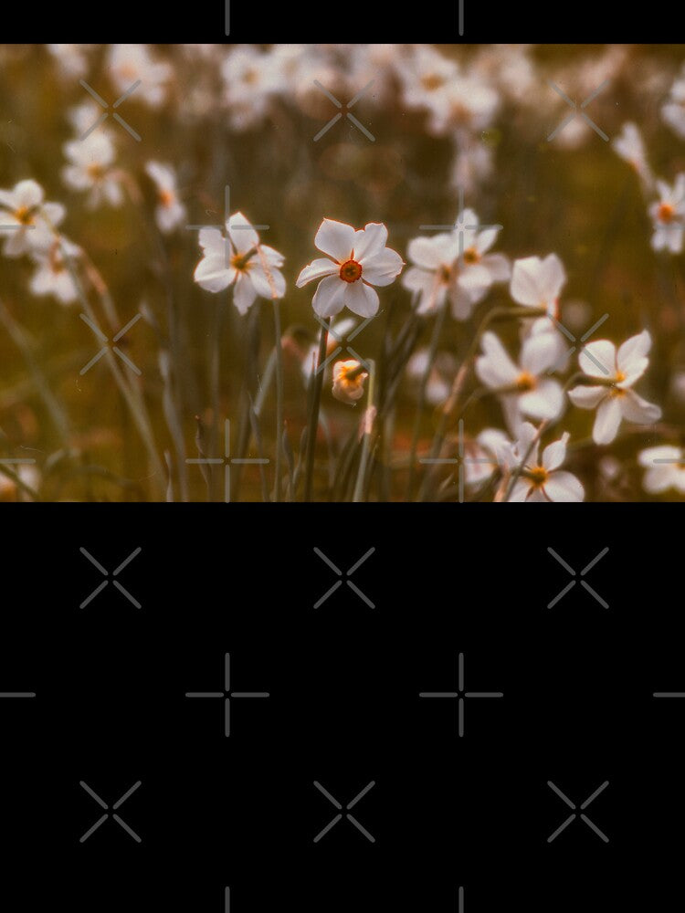 Vintage-look Daffodils by ElderIslesPress