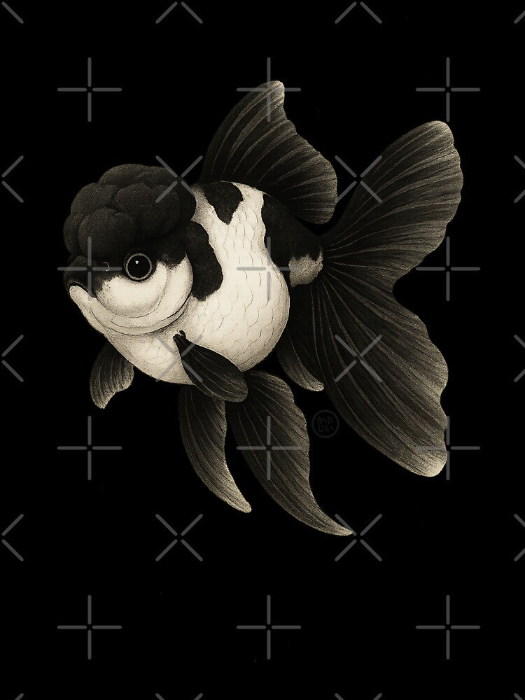 Panda Goldfish - Black Oranda Goldfish - Vintage Japanese Style Kingyo by Kabuji Store